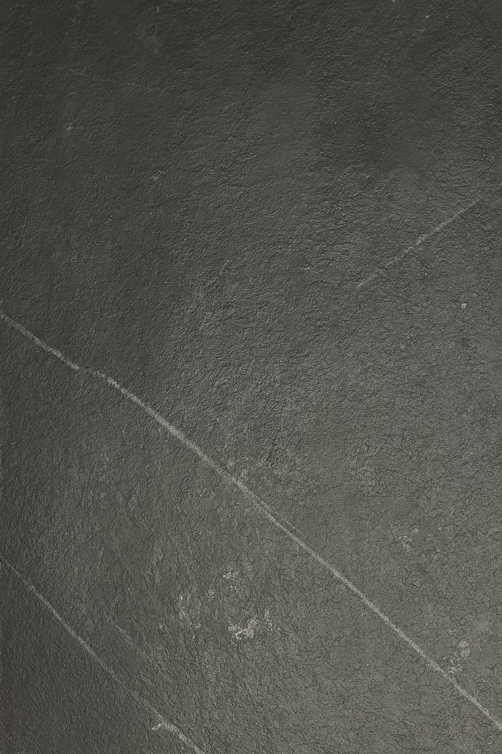 Linea Hara - immagine 7