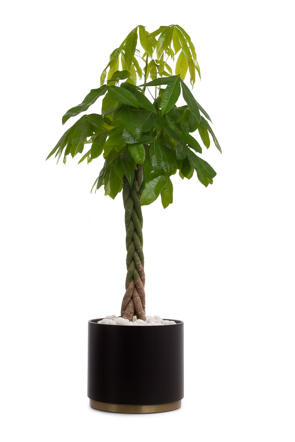 Vaso Arko - immagine 3