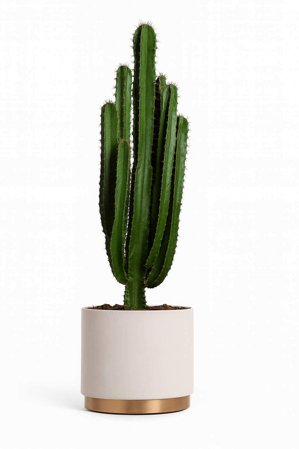 Vaso Arko - immagine 2